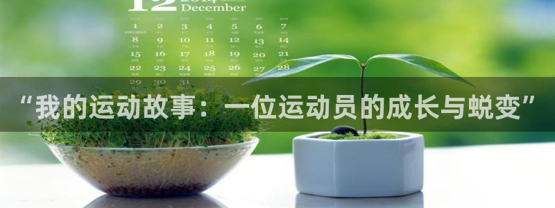风暴体育软件有病毒吗：“我的运动故事：一位运动员的成长与蜕变”