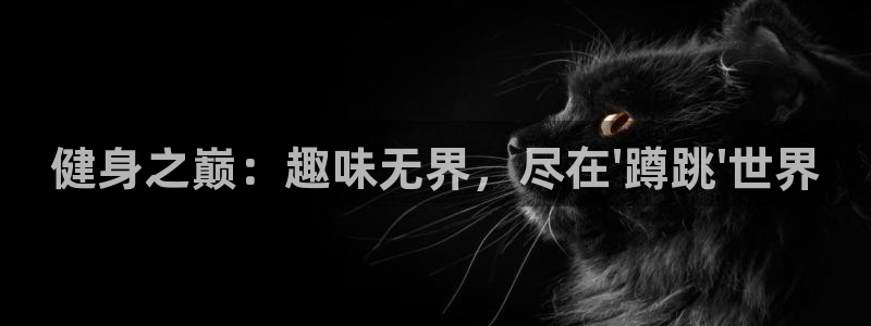 风暴体育下载安装：健身之巅：趣味无界，尽在\'蹲跳\'世界