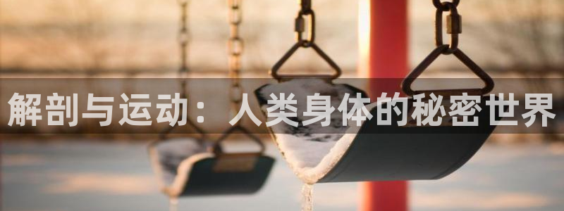 风暴体育入口：解剖与运动：人类身体的秘密世界