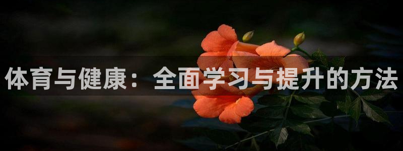 风暴体育篮球直播：体育与健康：全面学习与提升的方法