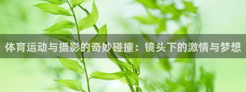 风暴体育安全吗：体育运动与摄影的奇妙碰撞：镜头下的激情与梦想
