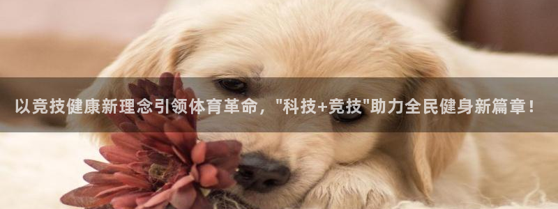 风暴体育下载安装：以竞技健康新理念引领体育革命，\