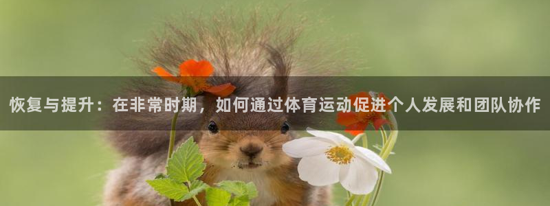 风暴体育邀请码是多少：恢复与提升：在非常时期，如何通过体育运动促进个人发展和团队协作
