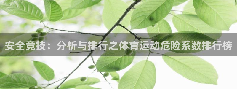 风暴体育下载安装：安全竞技：分析与排行之体育运动危险系数排行榜