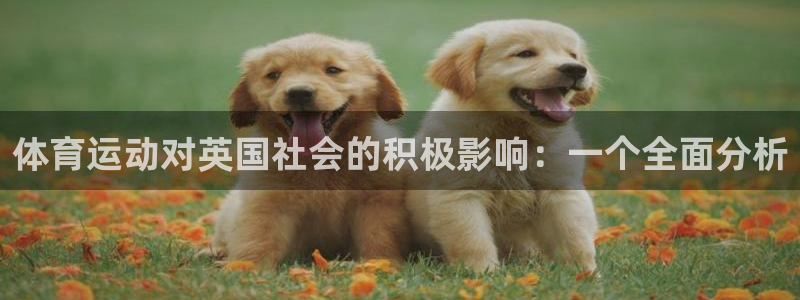 风暴体育邀请码是多少：体育运动对英国社会的积极影响：一个全面分析