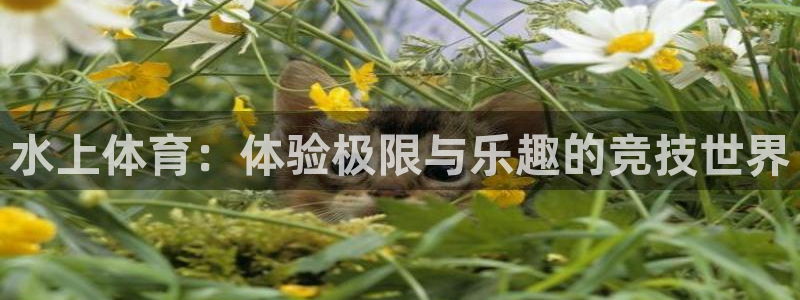 风暴体育下载app：水上体育：体验极限与乐趣的竞技世界