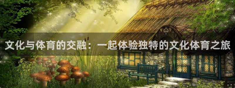 风暴体育邀请码是多少：文化与体育的交融：一起体验独特的文化体育之旅